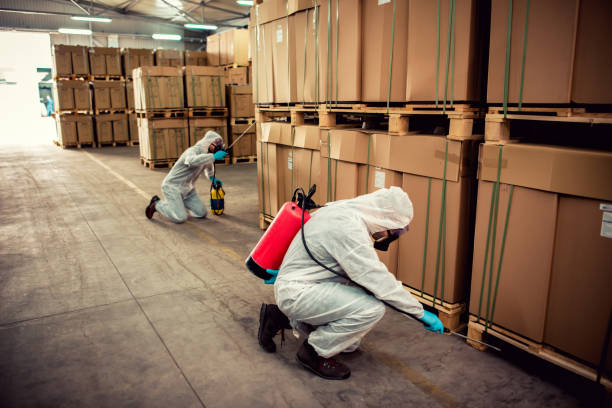 Best Best Pest Control Companies  in Moultrie, GA