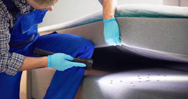 Best Mosquito Control Services  in Moultrie, GA