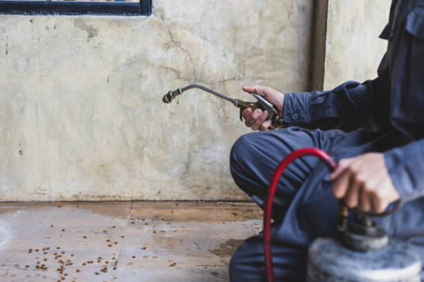 Best Pest Control Near Me  in Moultrie, GA